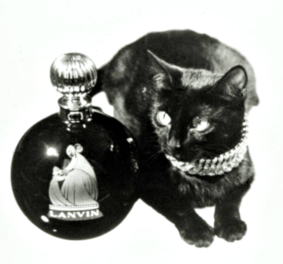 Black and white photo of a black cat with a large collar laying next to a globe bottle of Lanvin My Sin.